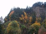 2008_10_30_Mult_Falls_12mi_Oly_0002