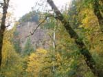 2008_10_30_Mult_Falls_12mi_Oly_0003