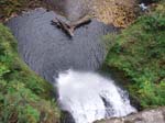 2008_10_30_Mult_Falls_12mi_Oly_0005