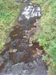 2008_10_30_Mult_Falls_12mi_Oly_0006