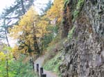 2008_10_30_Mult_Falls_12mi_Oly_0012