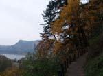 2008_10_30_Mult_Falls_12mi_Oly_0013