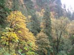 2008_10_30_Mult_Falls_12mi_Oly_0014
