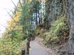2008_10_30_Mult_Falls_12mi_Oly_0015
