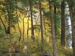 2008_10_30_Mult_Falls_12mi_Oly_0018