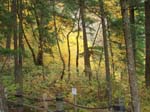 2008_10_30_Mult_Falls_12mi_Oly_0019