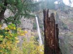 2008_10_30_Mult_Falls_12mi_Oly_0020