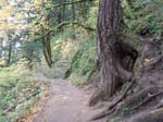 2008_10_30_Mult_Falls_12mi_Oly_0023