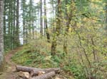 2008_10_30_Mult_Falls_12mi_Oly_0032