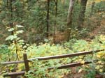 2008_10_30_Mult_Falls_12mi_Oly_0035