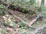 2008_10_30_Mult_Falls_12mi_Oly_0037