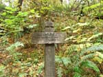 2008_10_30_Mult_Falls_12mi_Oly_0039