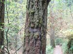 2008_10_30_Mult_Falls_12mi_Oly_0040