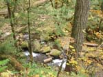 2008_10_30_Mult_Falls_12mi_Oly_0042