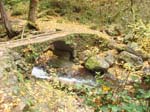 2008_10_30_Mult_Falls_12mi_Oly_0043