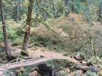 2008_10_30_Mult_Falls_12mi_Oly_0044