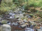 2008_10_30_Mult_Falls_12mi_Oly_0045