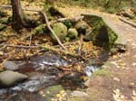 2008_10_30_Mult_Falls_12mi_Oly_0046