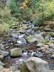 2008_10_30_Mult_Falls_12mi_Oly_0047