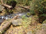 2008_10_30_Mult_Falls_12mi_Oly_0048