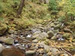 2008_10_30_Mult_Falls_12mi_Oly_0049