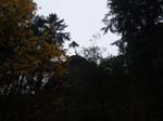 2008_10_30_Mult_Falls_12mi_Oly_0054