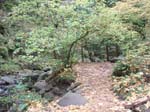 2008_10_30_Mult_Falls_12mi_Oly_0057