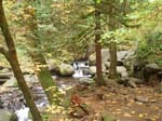 2008_10_30_Mult_Falls_12mi_Oly_0058