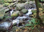 2008_10_30_Mult_Falls_12mi_Oly_0059
