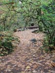 2008_10_30_Mult_Falls_12mi_Oly_0060