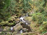 2008_10_30_Mult_Falls_12mi_Oly_0063