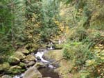 2008_10_30_Mult_Falls_12mi_Oly_0064