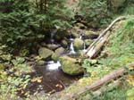 2008_10_30_Mult_Falls_12mi_Oly_0065