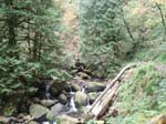 2008_10_30_Mult_Falls_12mi_Oly_0067