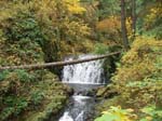 2008_10_30_Mult_Falls_12mi_Oly_0068