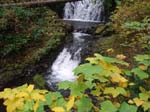 2008_10_30_Mult_Falls_12mi_Oly_0069