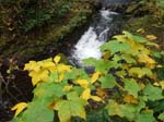 2008_10_30_Mult_Falls_12mi_Oly_0070
