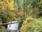 2008_10_30_Mult_Falls_12mi_Oly_0071