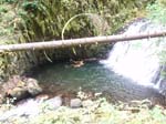 2008_10_30_Mult_Falls_12mi_Oly_0073