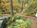 2008_10_30_Mult_Falls_12mi_Oly_0074
