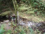 2008_10_30_Mult_Falls_12mi_Oly_0076