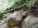 2008_10_30_Mult_Falls_12mi_Oly_0077