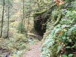 2008_10_30_Mult_Falls_12mi_Oly_0078