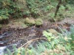 2008_10_30_Mult_Falls_12mi_Oly_0079