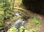 2008_10_30_Mult_Falls_12mi_Oly_0080