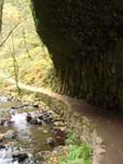 2008_10_30_Mult_Falls_12mi_Oly_0083