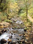 2008_10_30_Mult_Falls_12mi_Oly_0085