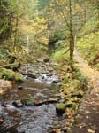 2008_10_30_Mult_Falls_12mi_Oly_0088