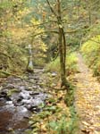 2008_10_30_Mult_Falls_12mi_Oly_0089
