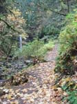 2008_10_30_Mult_Falls_12mi_Oly_0090
